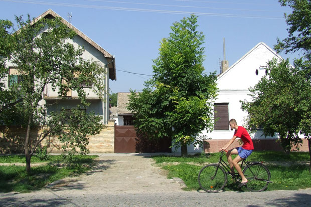 Арапи купују куће по Бачкој